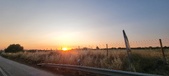 Enlarge photo 485