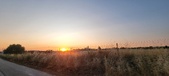 Enlarge photo 489