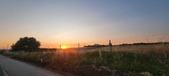 Enlarge photo 488