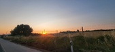 Enlarge photo 487