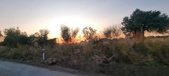 Enlarge photo 486