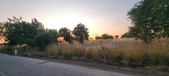 Enlarge photo 491