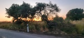 Enlarge photo 492