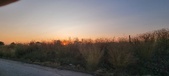 Enlarge photo 494
