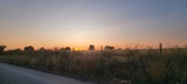 Enlarge photo 495