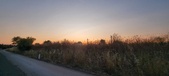 Enlarge photo 496