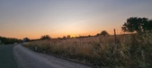Enlarge photo 498