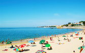 Enlarge photo 150