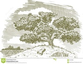 Enlarge photo 147