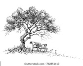 Enlarge photo 148