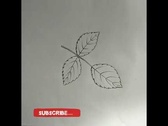Enlarge photo 121