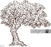Enlarge photo 146