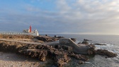 Enlarge photo 81