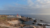 Enlarge photo 83