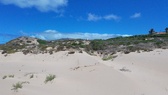 Enlarge photo 86