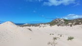 Enlarge photo 87