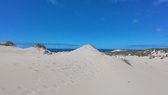 Enlarge photo 88