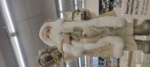 Enlarge photo 63