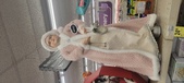 Enlarge photo 57