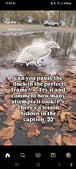 Enlarge photo 114