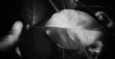 Instagram posting help