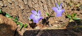 Enlarge photo 45