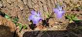 Enlarge photo 46