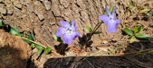 Enlarge photo 47