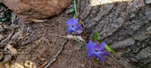 Enlarge photo 43