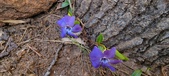 Enlarge photo 42