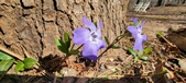 Enlarge photo 40