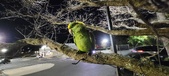 Enlarge photo 37