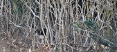Enlarge photo 35