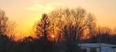 Enlarge photo 58
