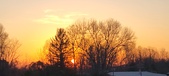 Enlarge photo 63