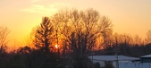 Enlarge photo 65