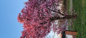 Enlarge photo 75