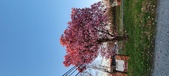 Enlarge photo 73