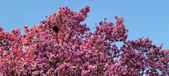 Enlarge photo 79