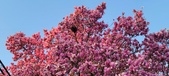 Enlarge photo 80
