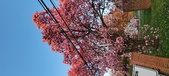 Enlarge photo 86