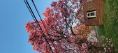 Enlarge photo 88
