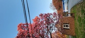 Enlarge photo 89