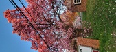 Enlarge photo 92