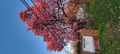 Enlarge photo 91