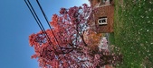 Enlarge photo 90