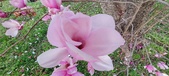 Enlarge photo 93