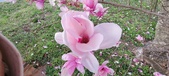 Enlarge photo 94