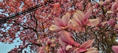 Enlarge photo 98
