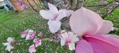 Enlarge photo 105